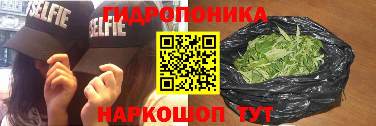 Шишки марихуана White Widow Киров
